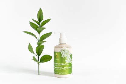 Citrus Verbena Hand &amp; Body Lotion